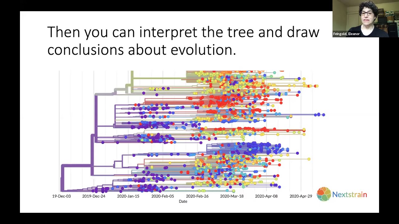 Feingold and Martinson: Phylogenetic Trees - What they Can (and Can't) Tell Us About COVID-19