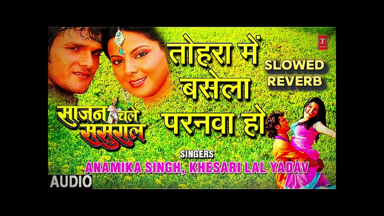 🎧Tohra Me Basela Paranwa Lofi | Slowed Reverb 2026 
