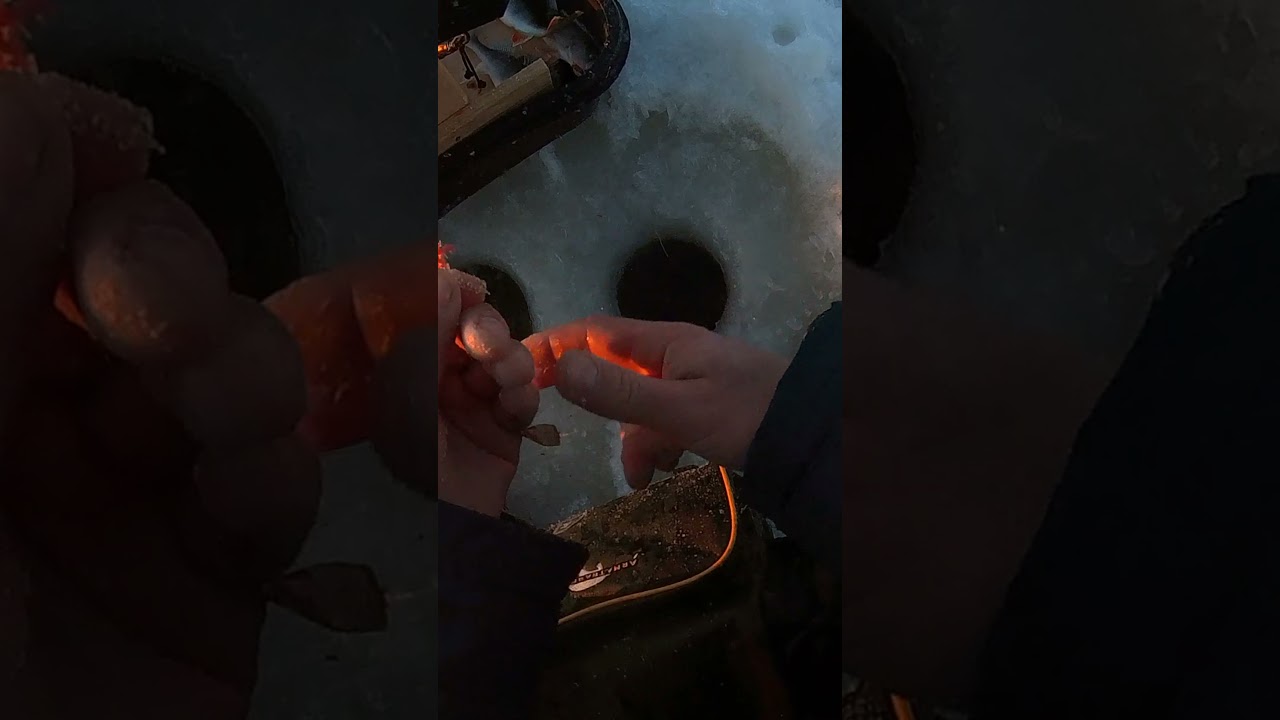 how to icefishing bait kuinka pilkki&auml; ja sy&ouml;tti