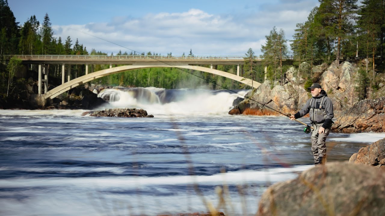 Salmon Fishing in Sweden / An Epic Adventure in Jockfall // #SalmonFishingAdventure