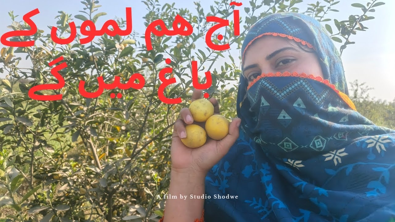آج ھم لموں کے باغ میں گے