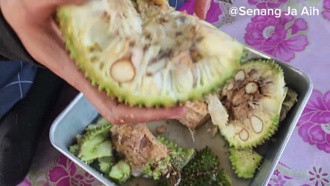 Buah Pulur...Sayur Rare, Cara Siang Buah Pulur.