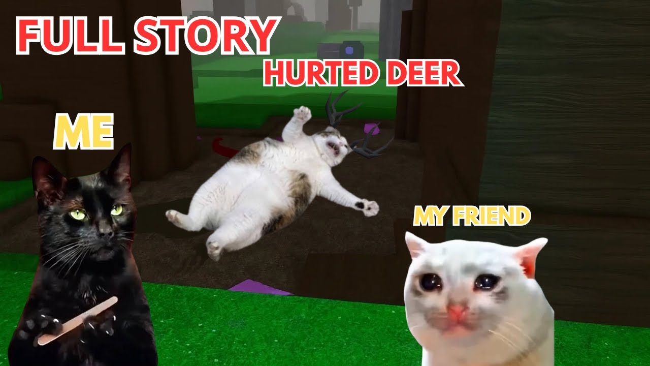 99 Nights in the Forest, BUT with MEME CATS🐱 FULL STORY (ROBLOX)