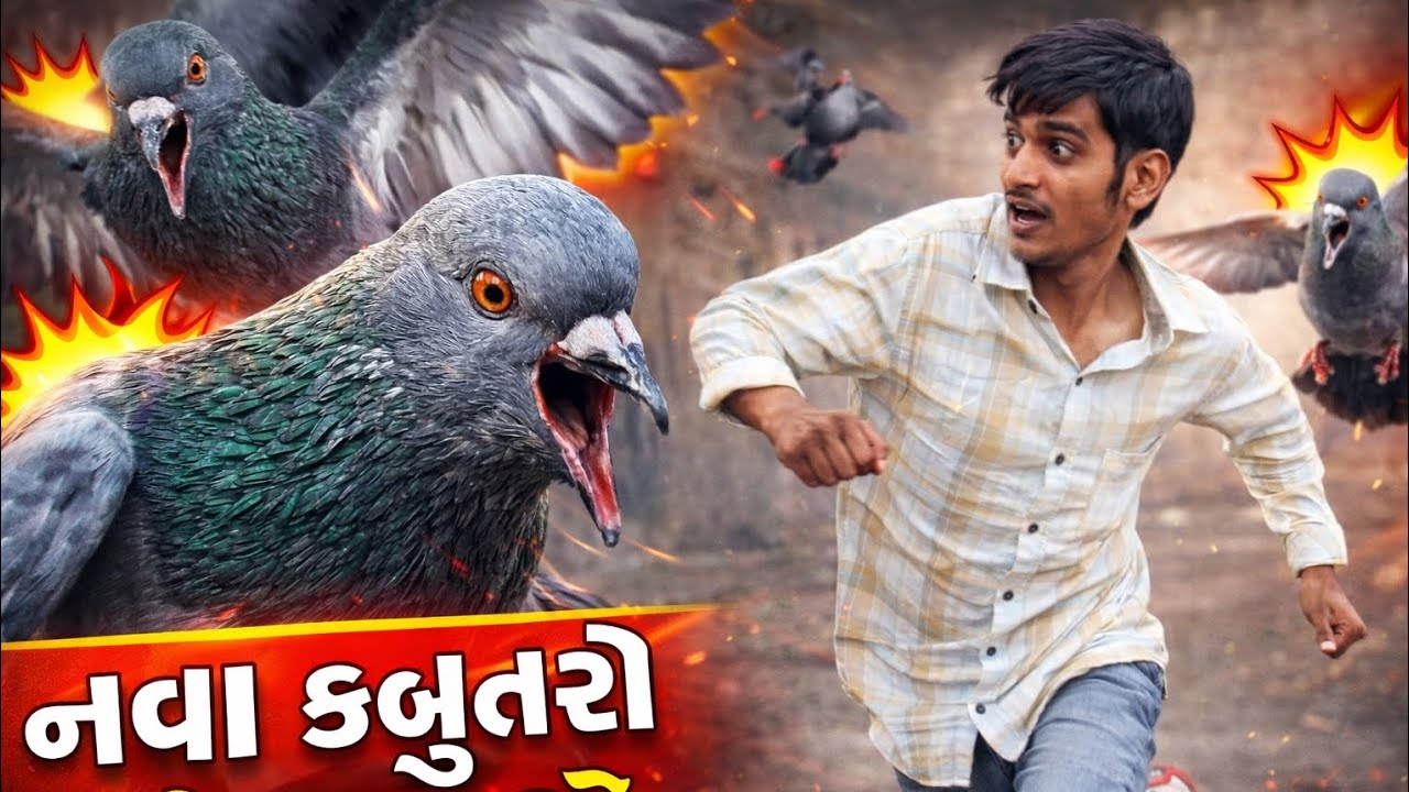 18 નવા કબુતર લયાવ્યા ને નવા કબૂતરો એ મને દોડાવ્યો          #gujrativlog #pigeonloft #birds #viral 