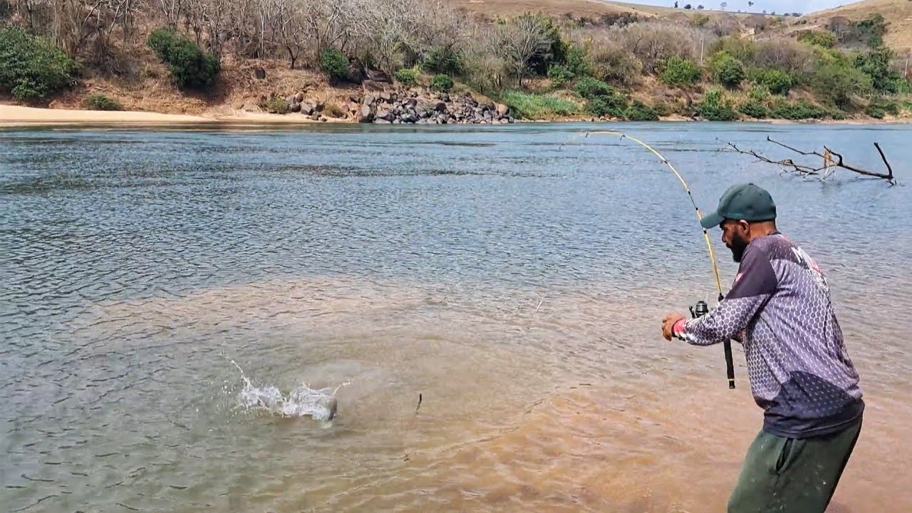 CURIMBA GIGANTE no Rio Doce! A maior que j&aacute; pesquei