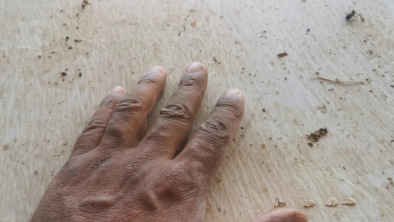 ترتيب براويز الاشرطه في الخليه