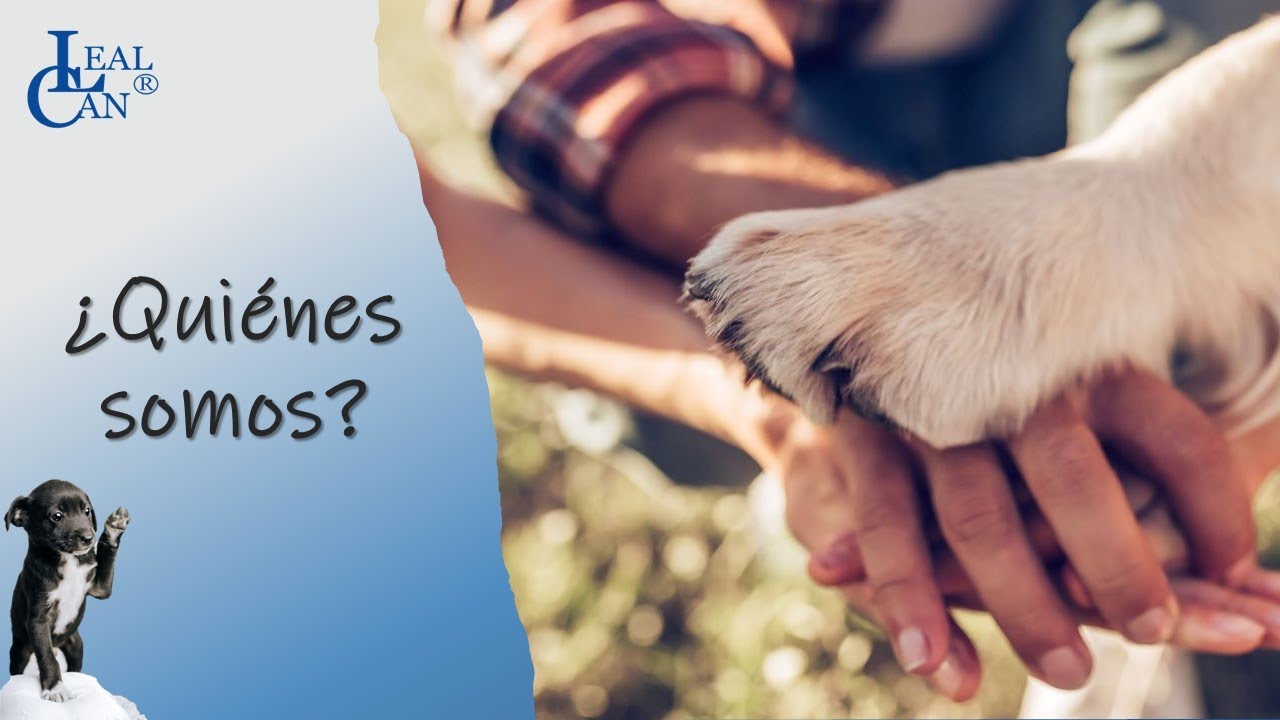 ¿Quiénes somos? EDUCACIÓN CANINA, CACHORROS, CONSULTAS DE COMPORTAMIENTO | LealCan Adiestramiento