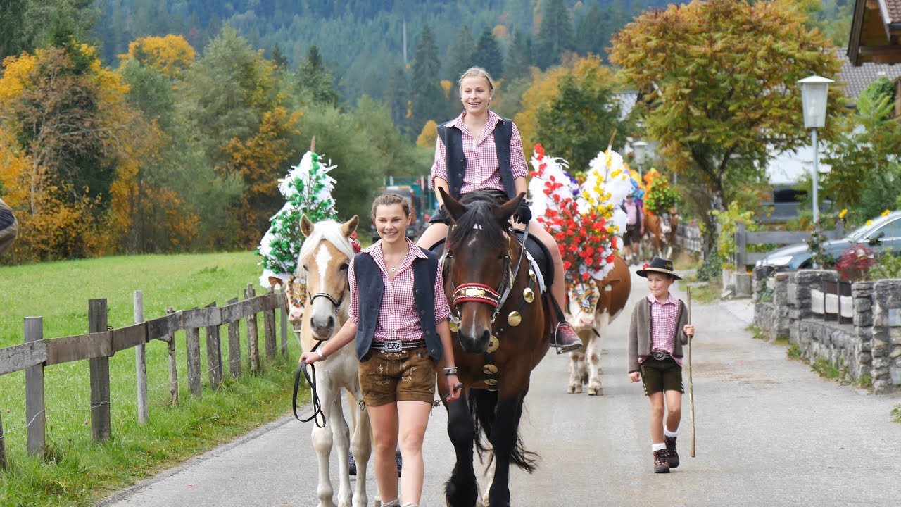 Almabtrieb Kelchsau 2017