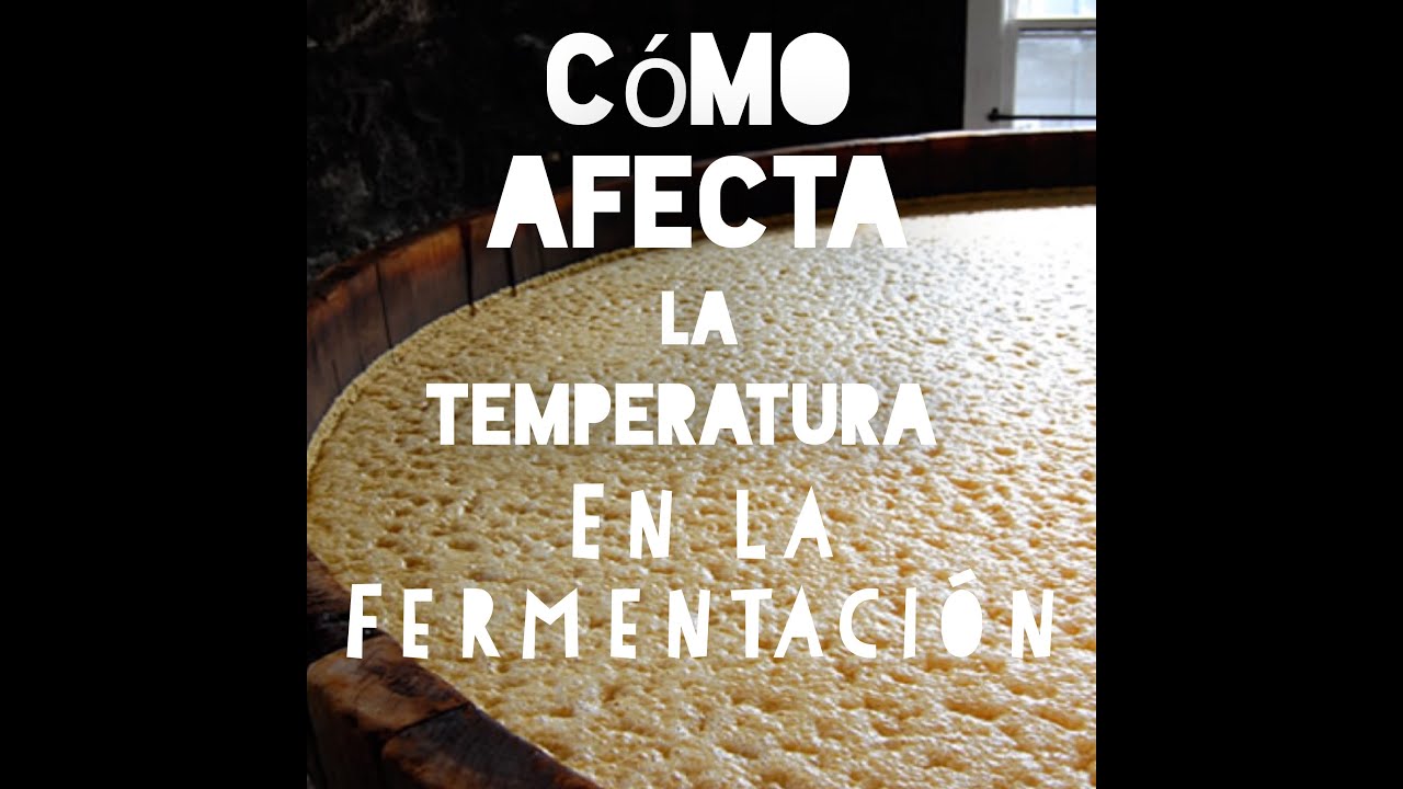 Como afecta la Temperatura en la Fermentación