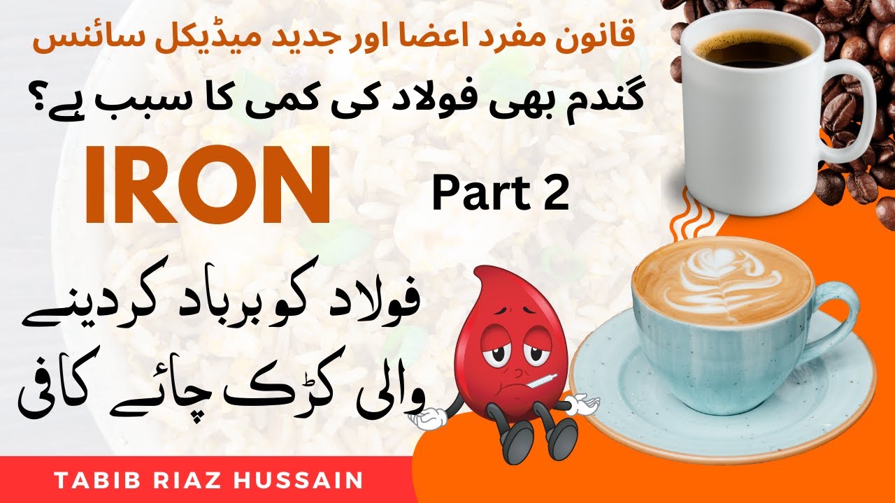 Iron Absorption & Regulation in Urdu P2 | Iron ka jism men jazab aor ekhraaj | Red Blood Cell | Heme