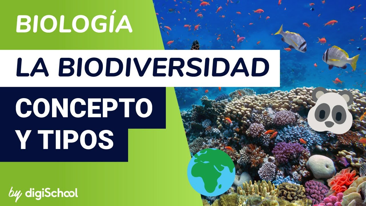 La biodiversidad. Concepto y tipos - Biolog&iacute;a - digiSchool