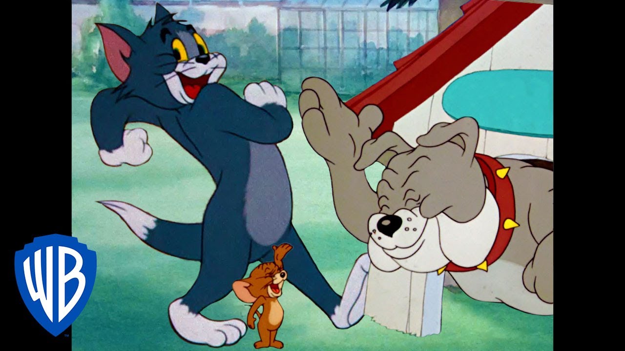 Tom y Jerry en Español | La noche divertida | WB Kids