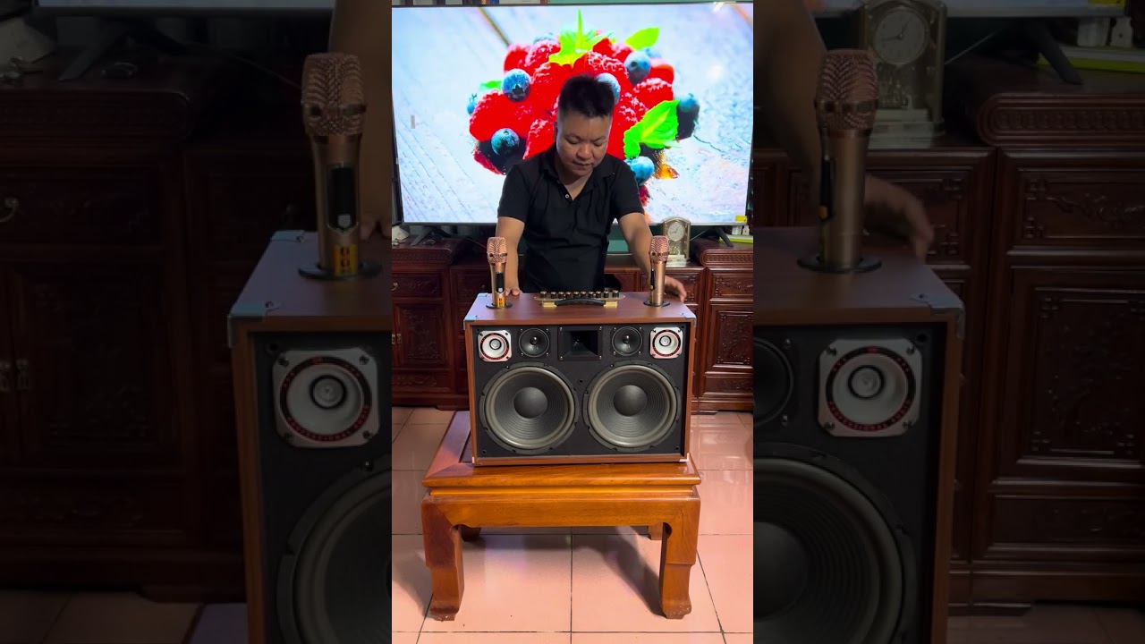 Loa Karaoke 11 Đường Tiếng Vip D196