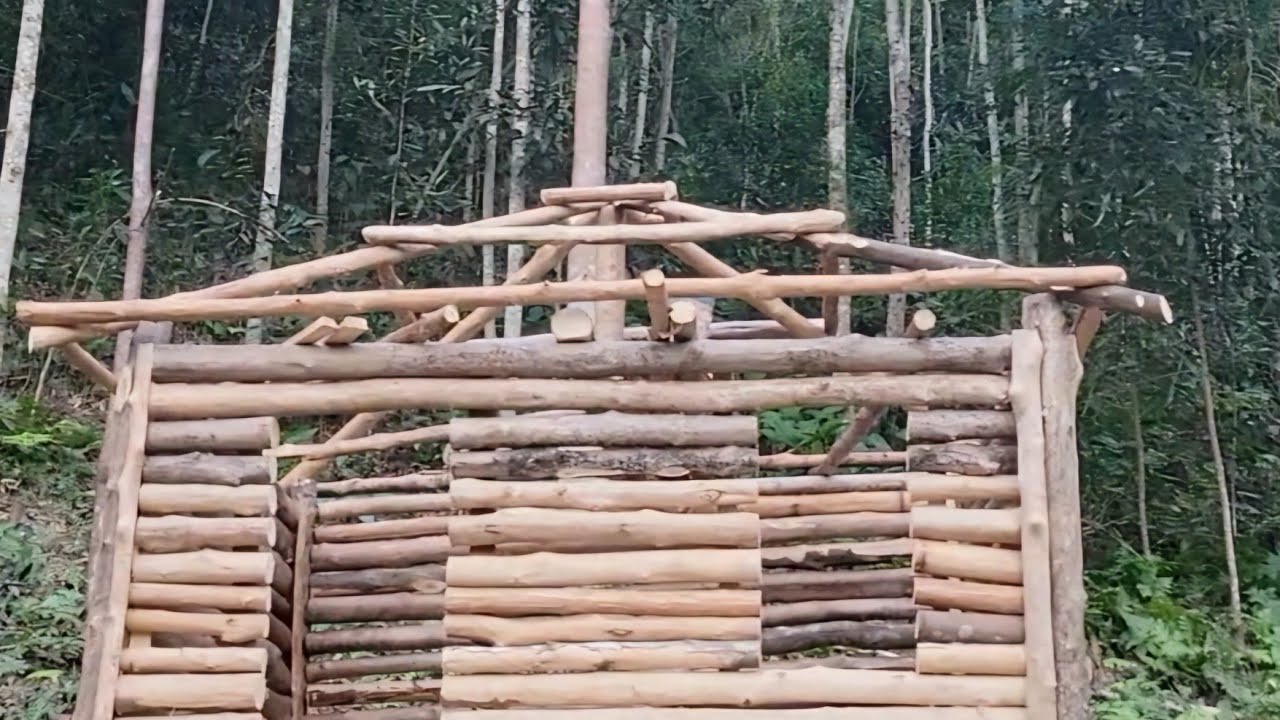 The director left the city and built a wooden house to live in isolation from the outside world.