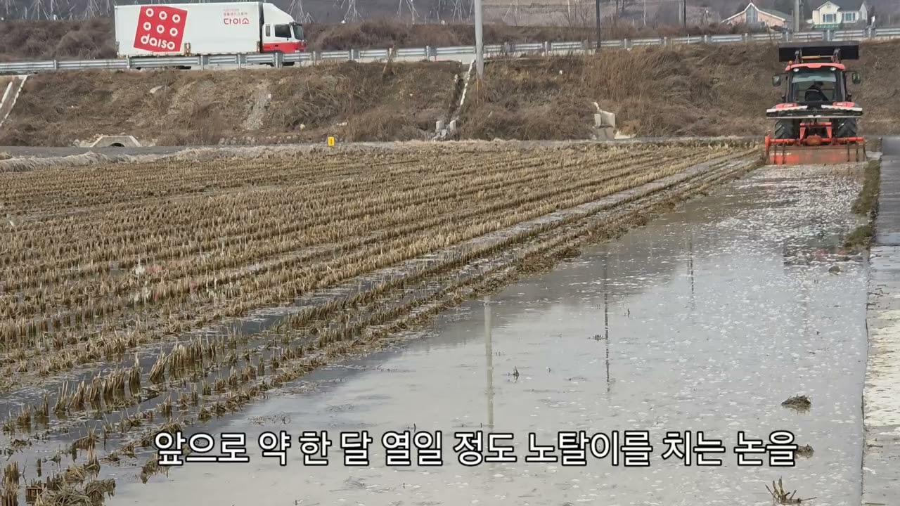 벼  논 못자리  벼육묘 발 빠지지 않고 편리하게 하기 [벼육묘] 담을연 평화랜드농원 담을연평화랜드농원 신현희 음성군 