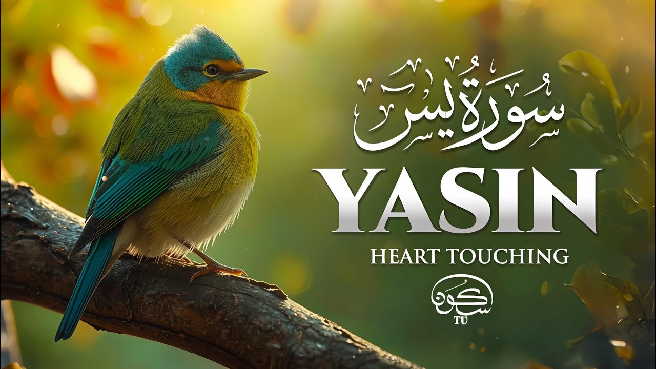 Surah Yaseen (Yasin) سورة يس | Soft Voice | Beautiful Recitation For Sleep | Sukoon Tv |
