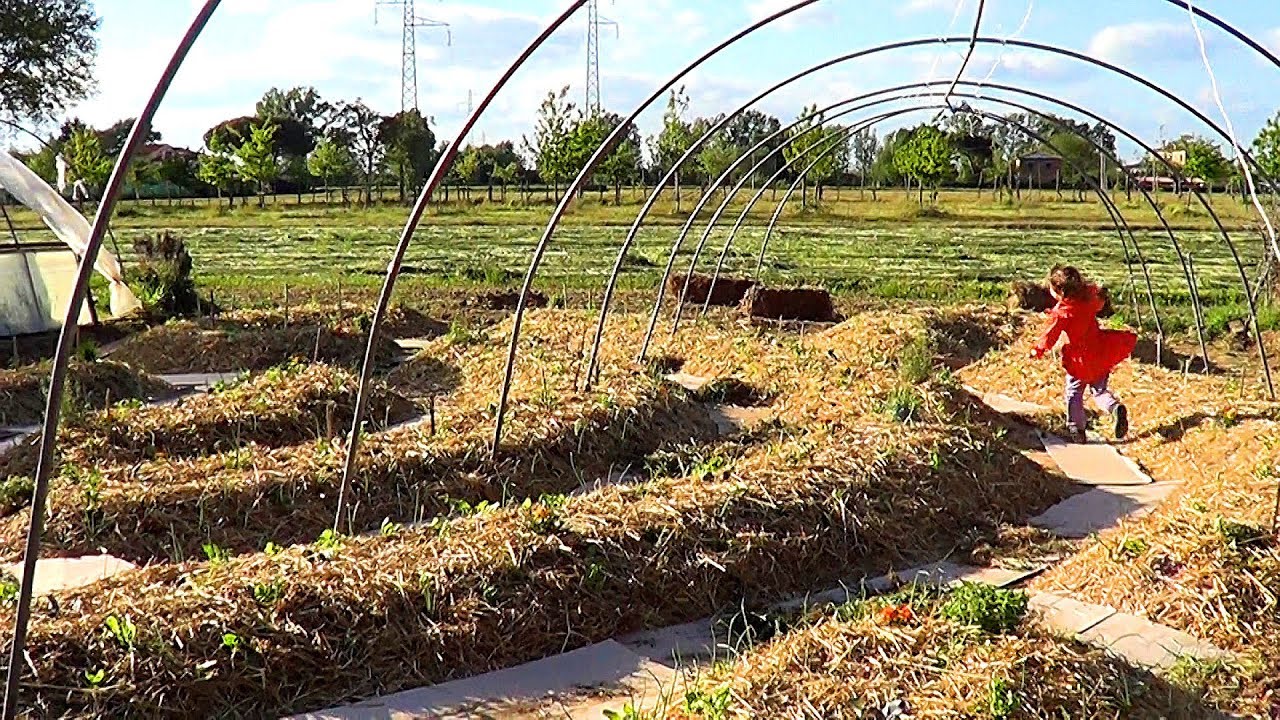 Come fare un ORTO SINERGICO in 10 passaggi [ENG, ESP sub]