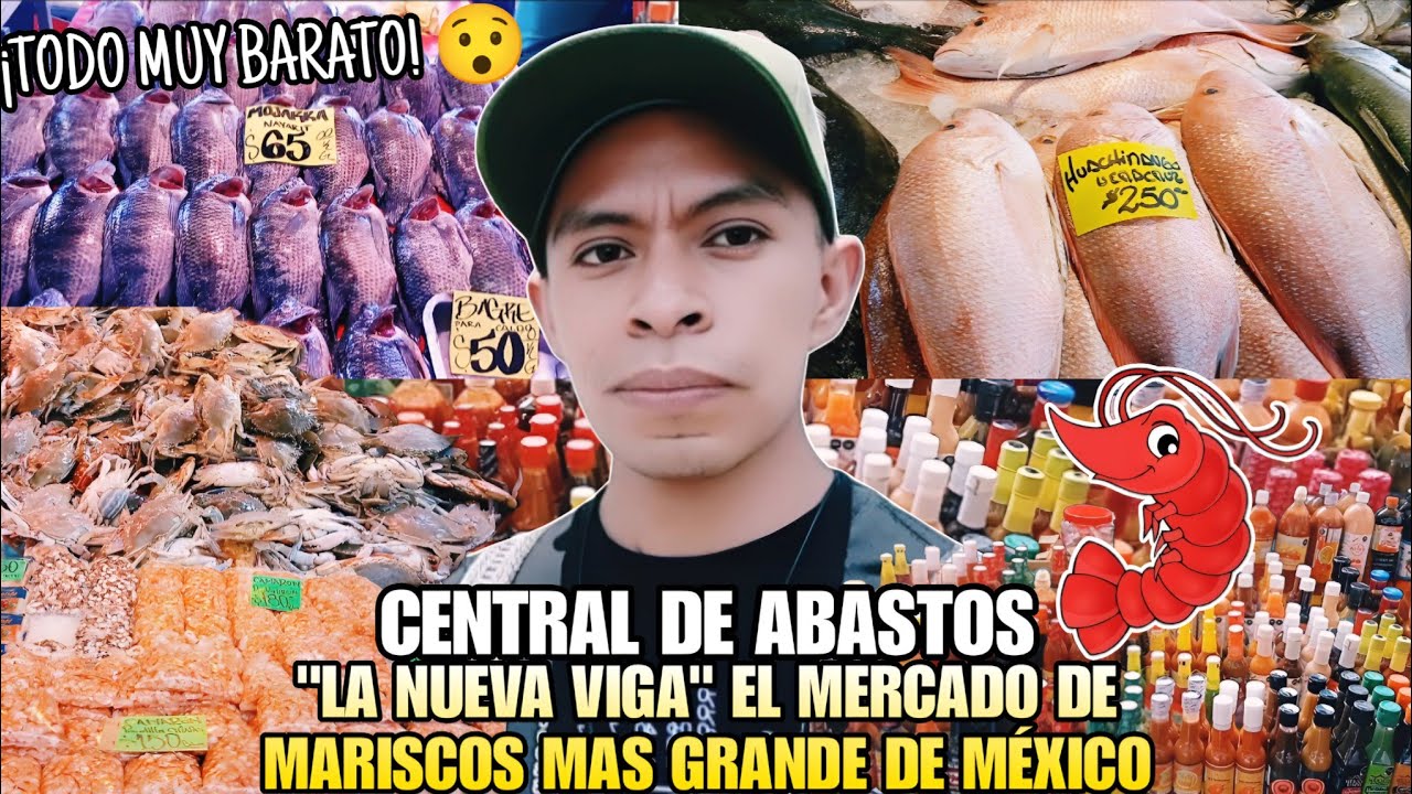 LA NUEVA VIGA ASI ES EL MERCADO DE MARISCOS MAS GRANDE DEL MUNDO EN LA CENTRAL DE ABASTOS 🦐🦞🐠