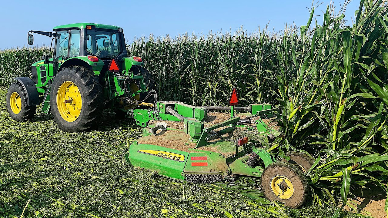Mowing Down Our Corn Crop..