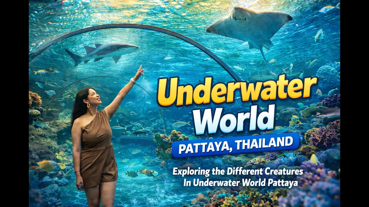 Inside Underwater World Pattaya 🇹🇭 | Amazing Marine Creatures in Thailand| Bangkok Pattaya Thailand