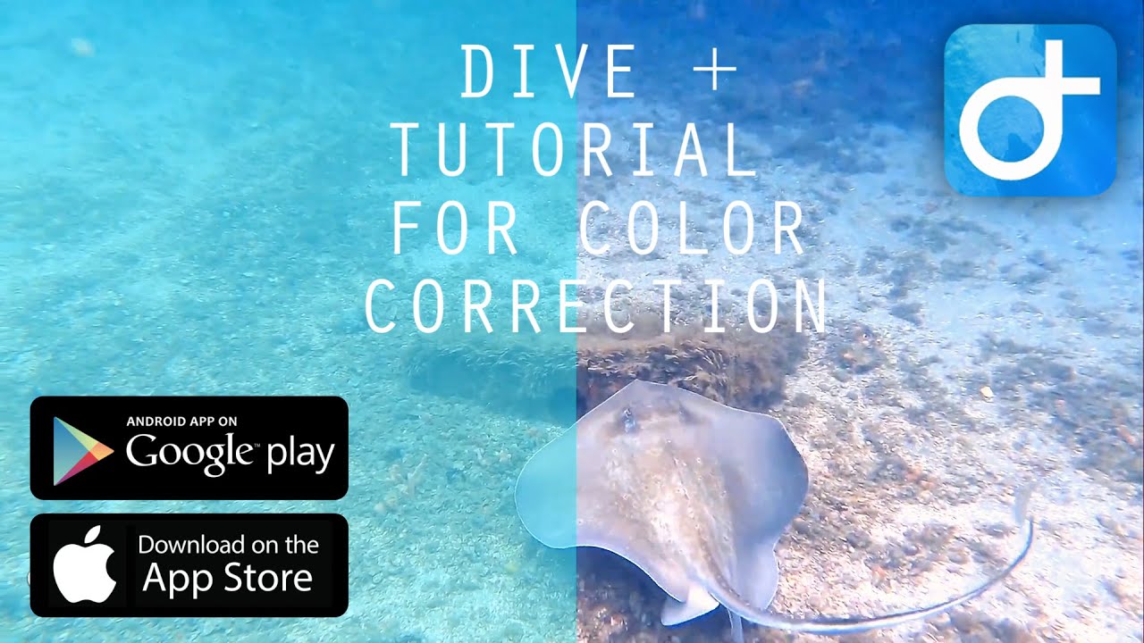 Dive+ App Tutorial For Free Underwater Color Correction on Google Play or Apple App Store