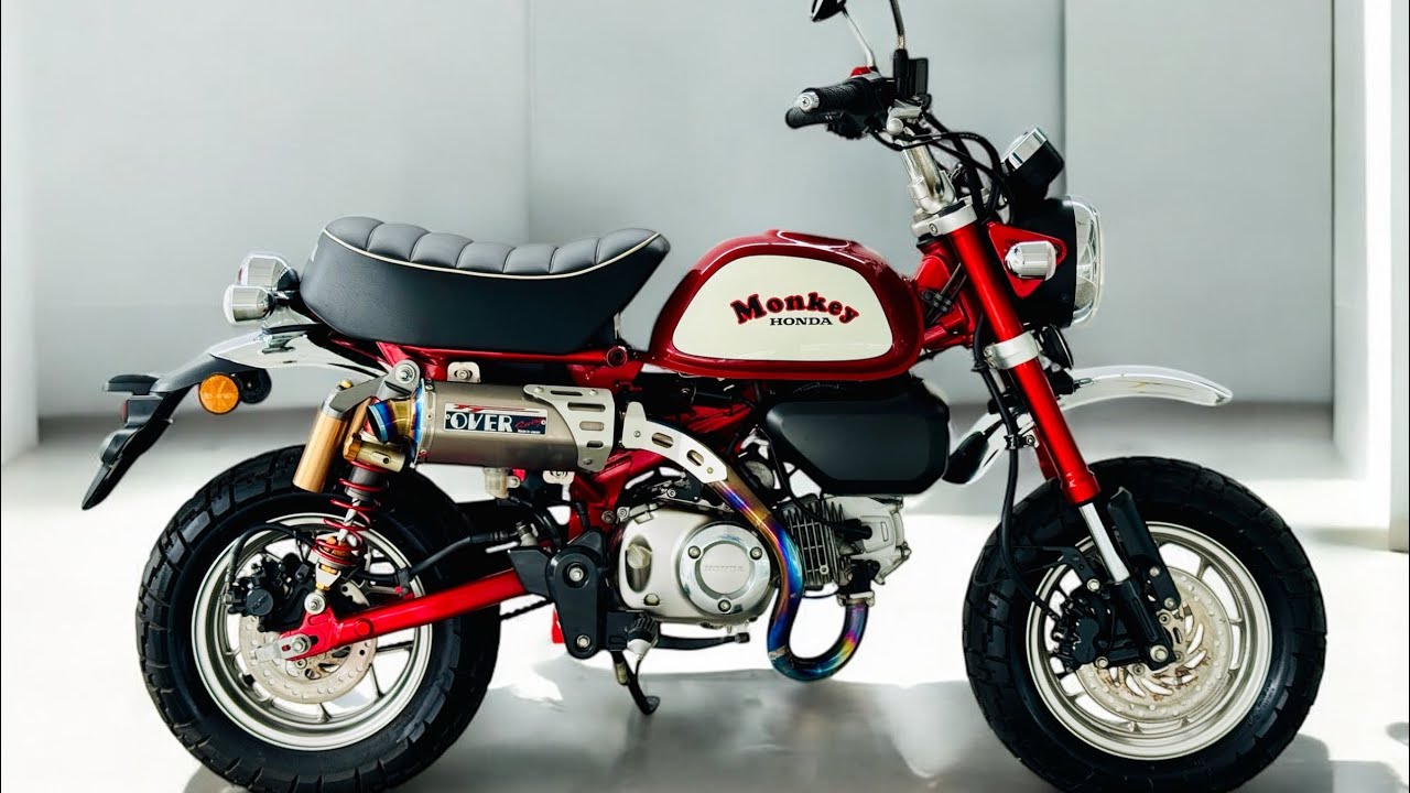 Monkey Custom “1988 Cherry Edition” 42xxกิโล ปี20  เจ้าของเดียวในเล่ม แต่งท่อ  OVERยกเส้น โช๊คSHOWA