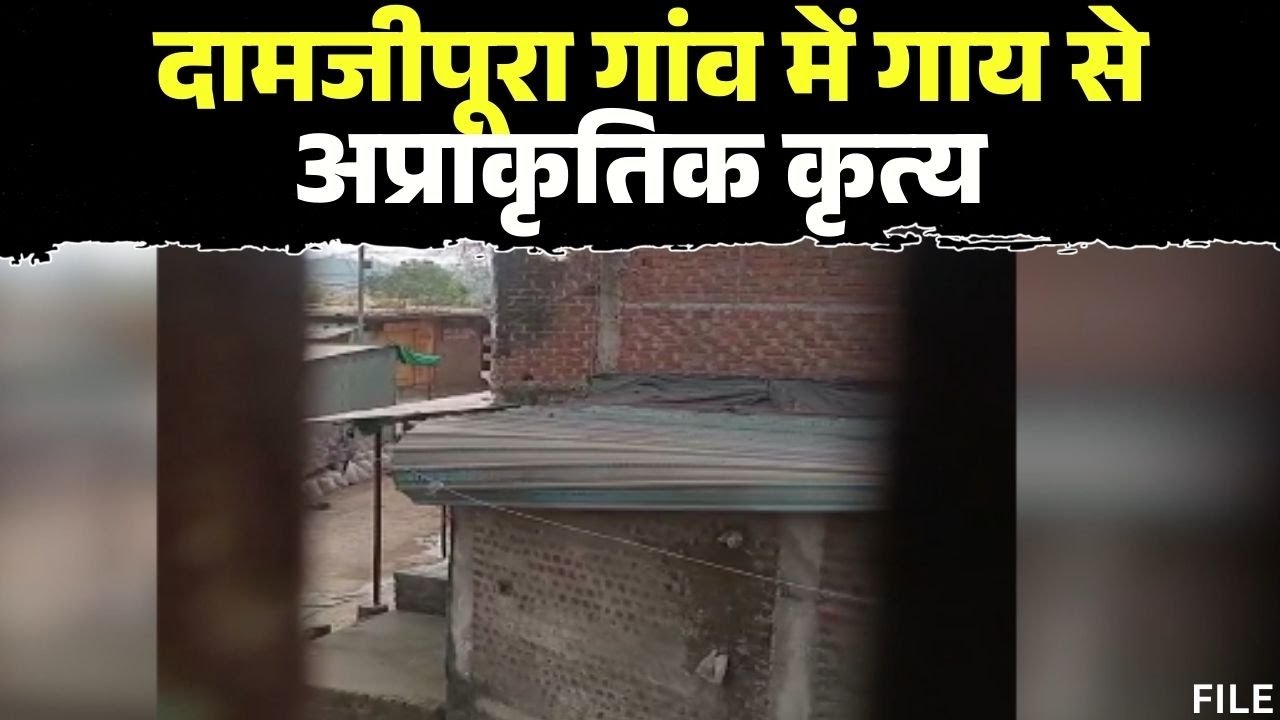 Betul News : दामजीपूरा गांव में गाय से अप्राकृतिक कृत्य | आक्रोशित लोगों ने 2 दुकानों में की आगजनी
