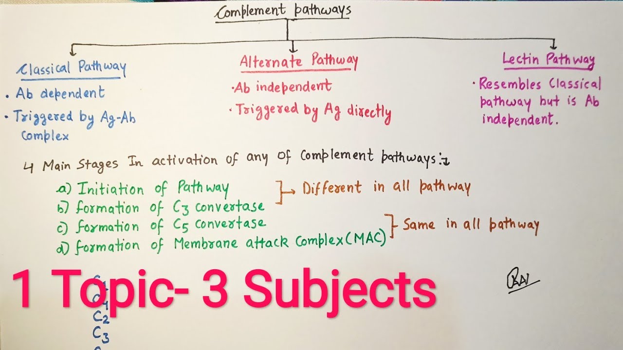 Complement System /part-2