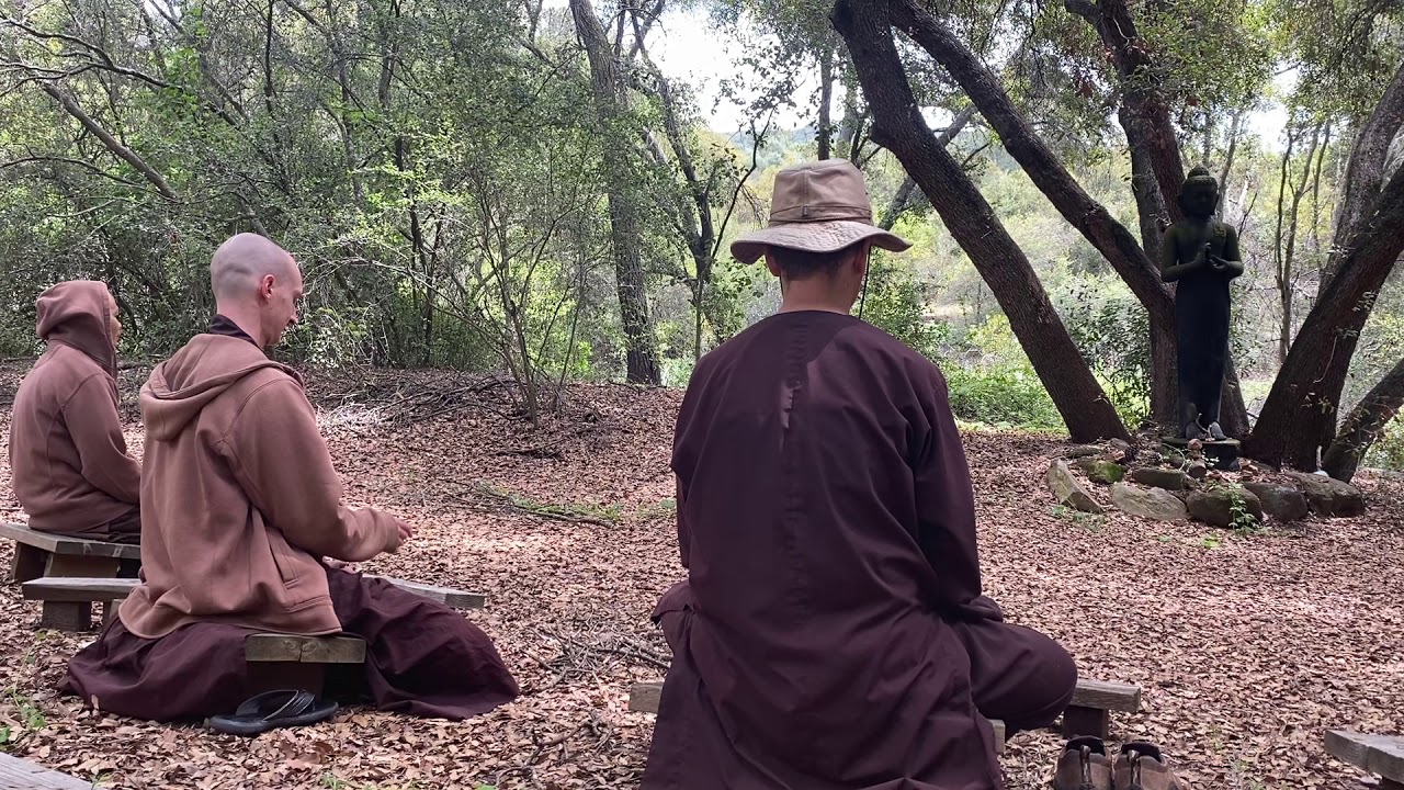 Sitting with the Buddha
