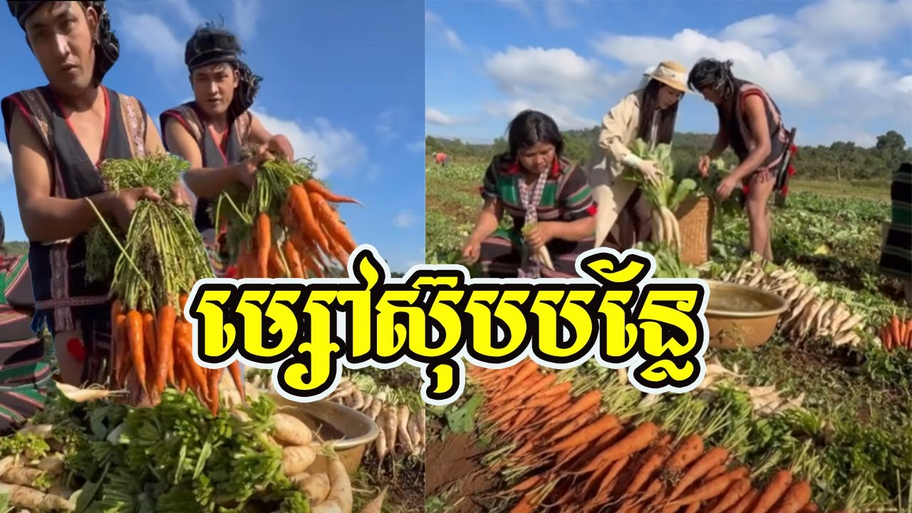 ម្សៅ​ស៊ុបបន្លែ​