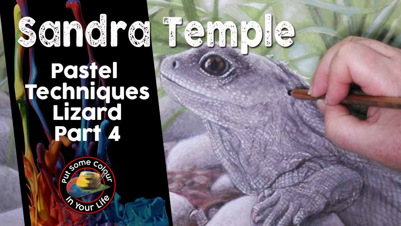 Pastel Pencil Painting Techniques - Part 4 - Tuatara - with Sandra Temple | Colour In Your Life