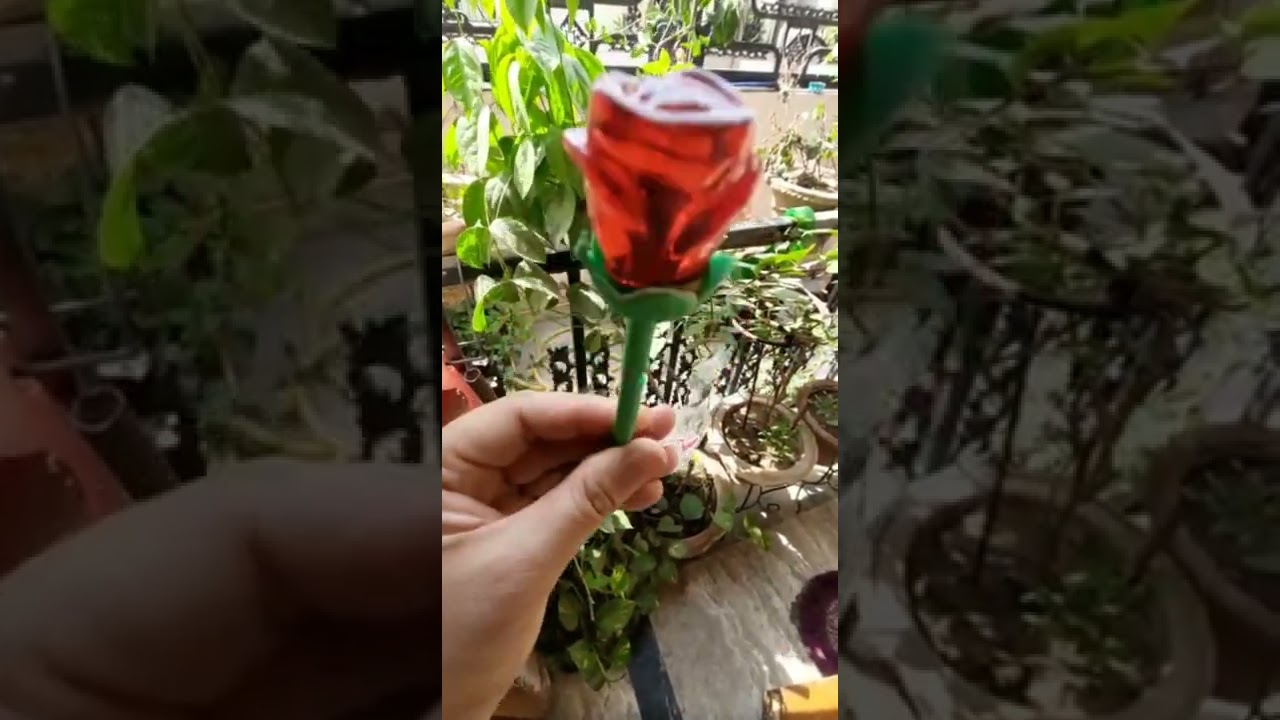 Rose Jelly candy 🍭🍭|| @Unboxing queenn25 || #jelly #ytshort #shorts