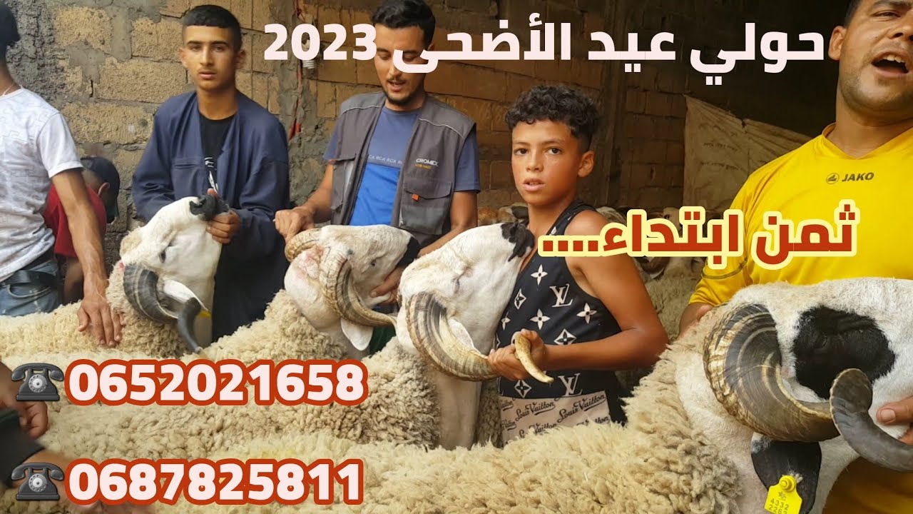 حولي مليح جاب العلامي سيدي مومن الدار البيضاء للتواصل 0652021658/0687825811