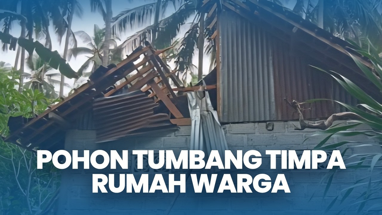Pohon Tumbang Timpa Rumah Warga di Sengkidu Karangasem Bali, Atap Hancur