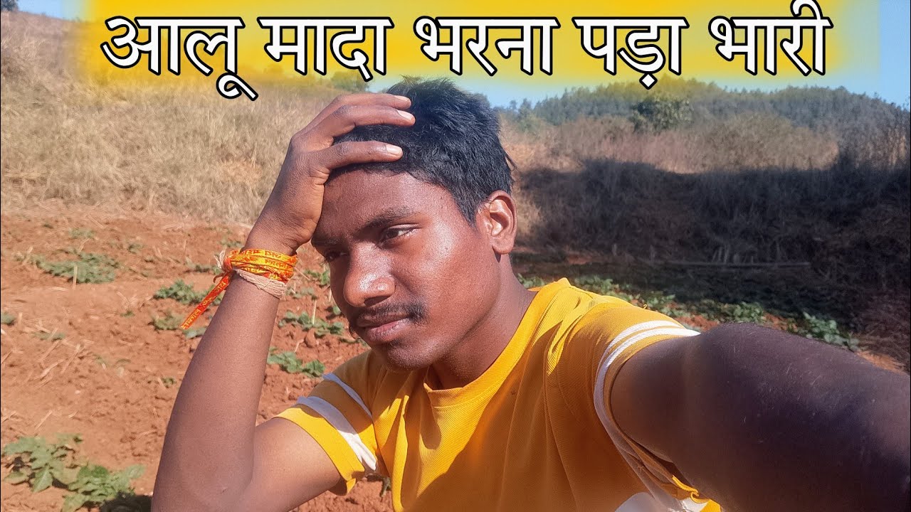 आलू मादा भरना पड़ा भारी//Potato Farming//Aallu Kheti@SirajSdVlog 