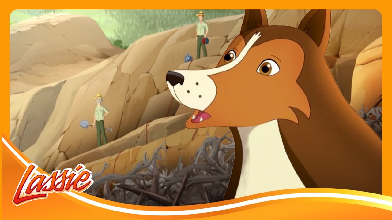 🐶Lassie Stops the Dam Explosion! | The New Adventures of Lassie | Cartoons For Kids