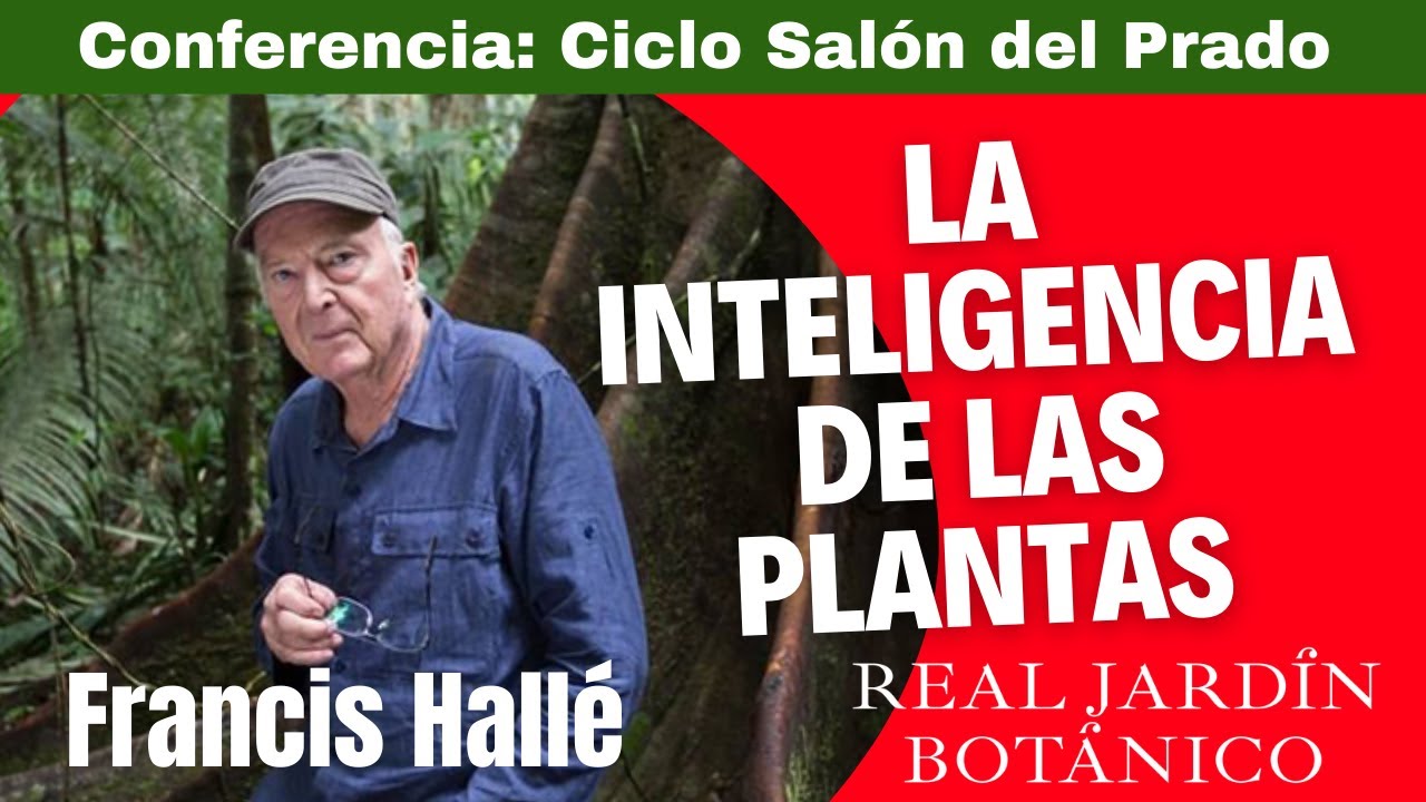 Ciclo Salón del Prado: 