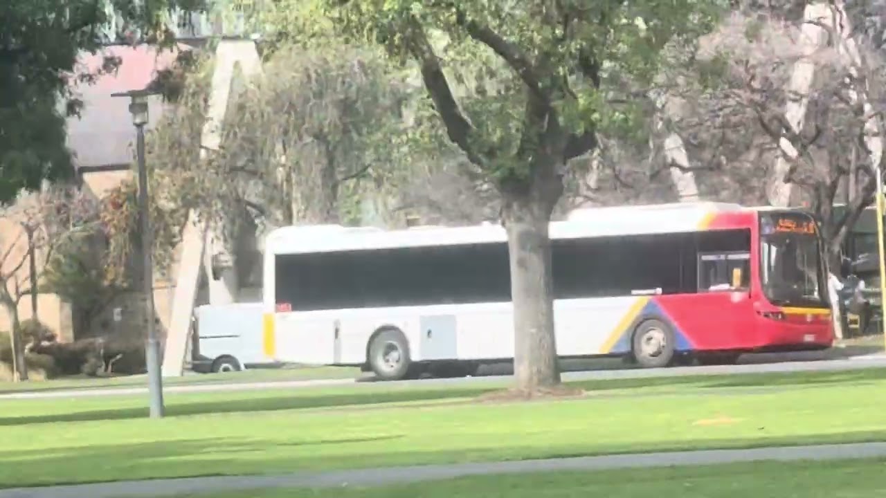 2451 - Volvo B8RLE - Volgren ‘Optimus’ - Southlink - (Adelaide Metro)