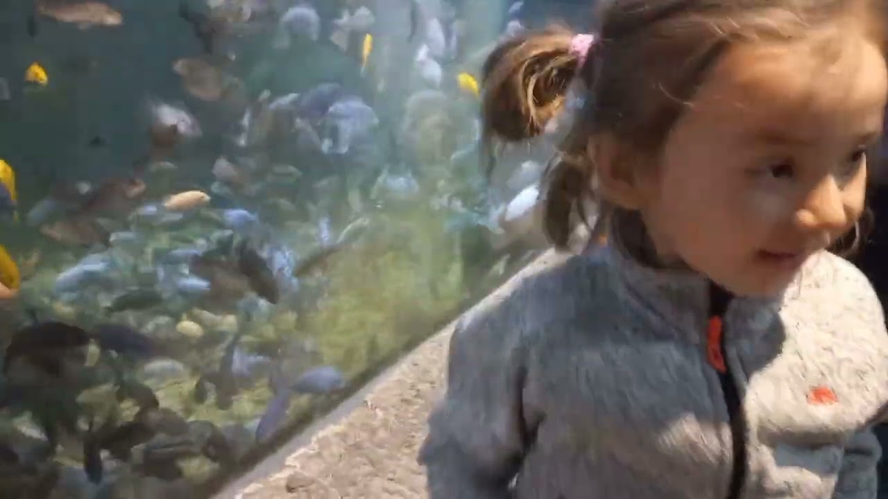 Blue Planet Aquarium Liverpool, UK