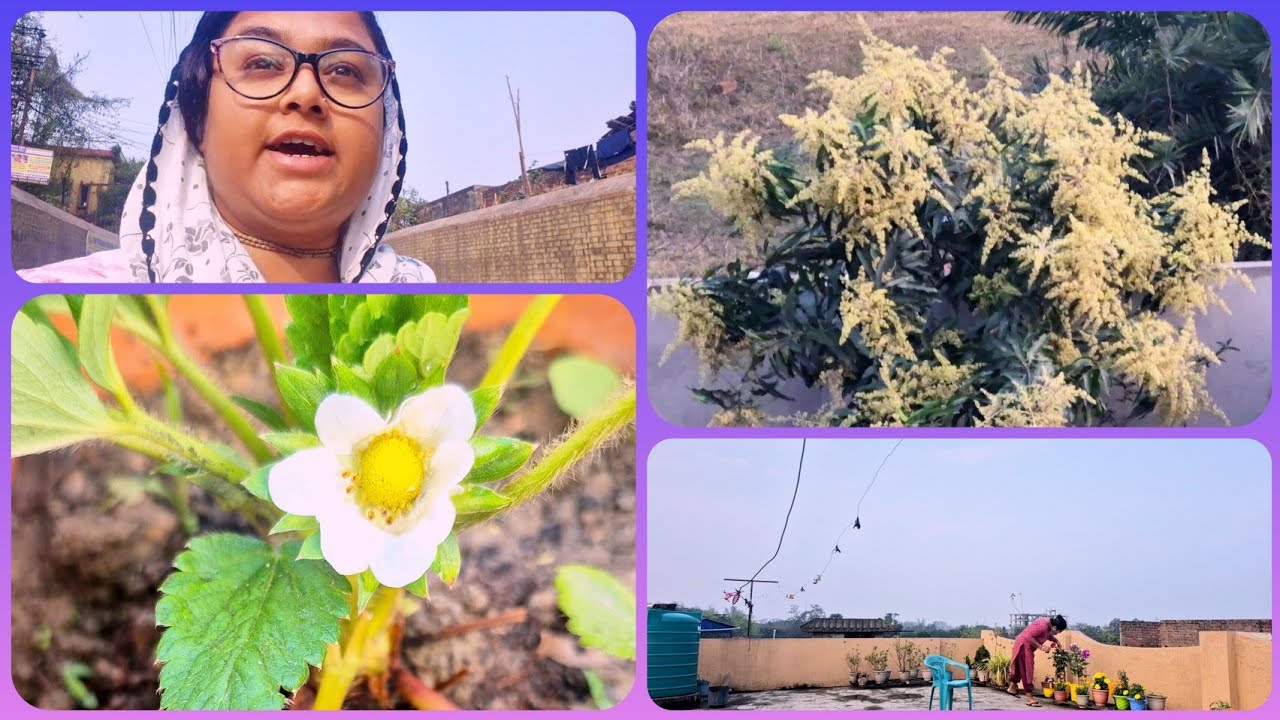 মরার কালে হরির নাম আমার।। #lifestylevlog #bengalvlogger 