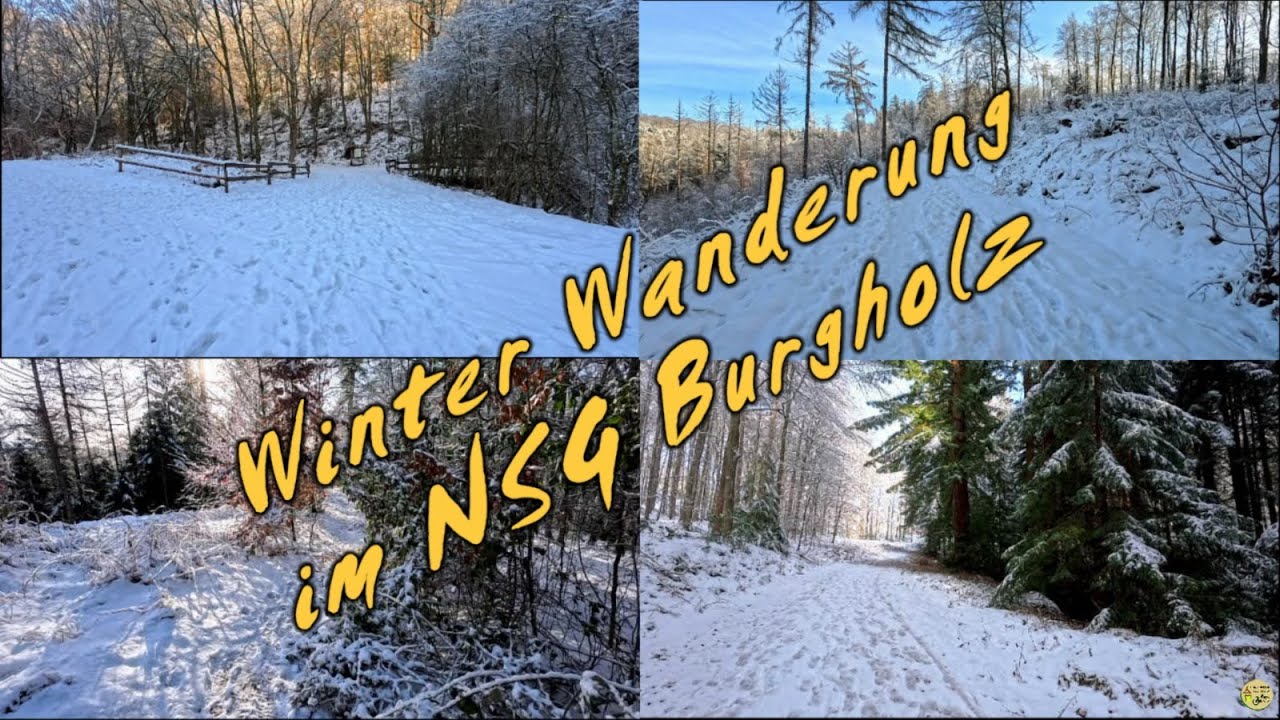 Winter Wanderung im NSG Burgholz #wandern #wanderlust #hiking