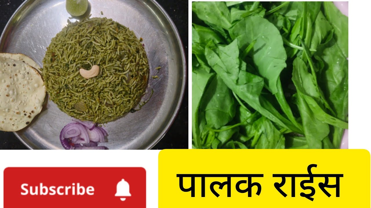 पालक राईस रेसिपी | palak rice recipe | palak pulav recipe| rice recipe.