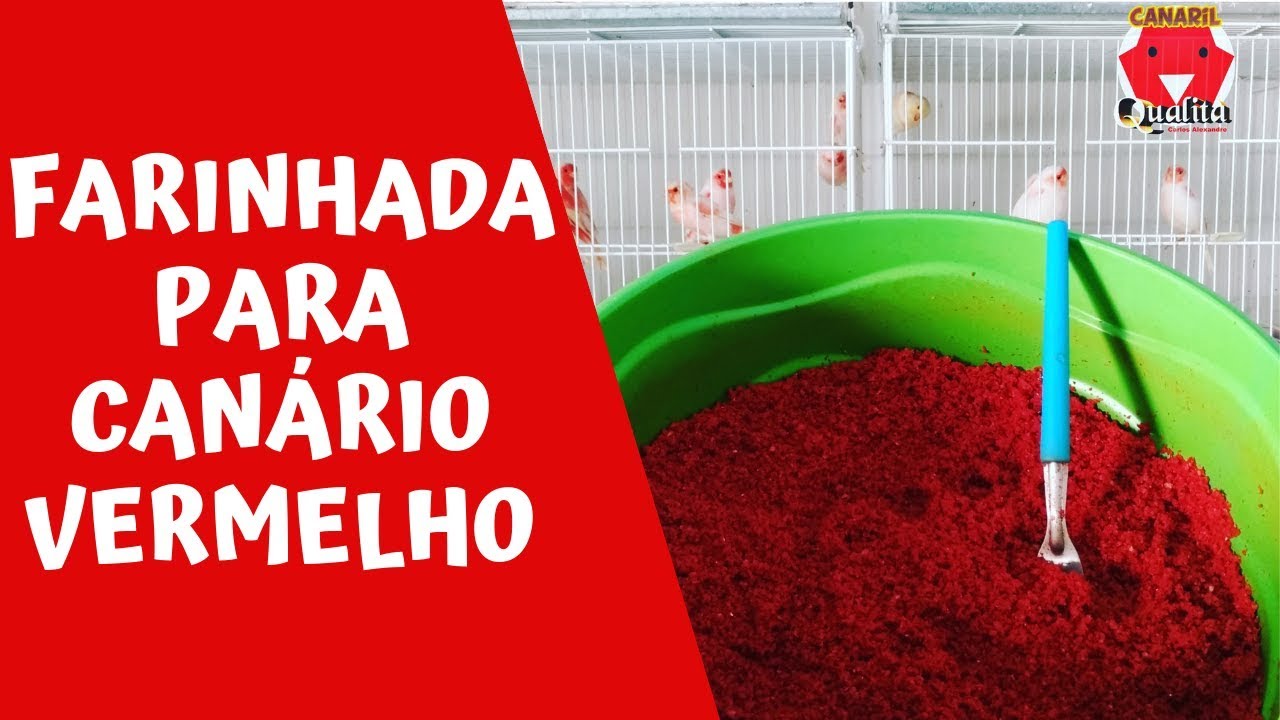 FARINHADA PARA CANÁRIO VERMELHO - Canaril Qualità