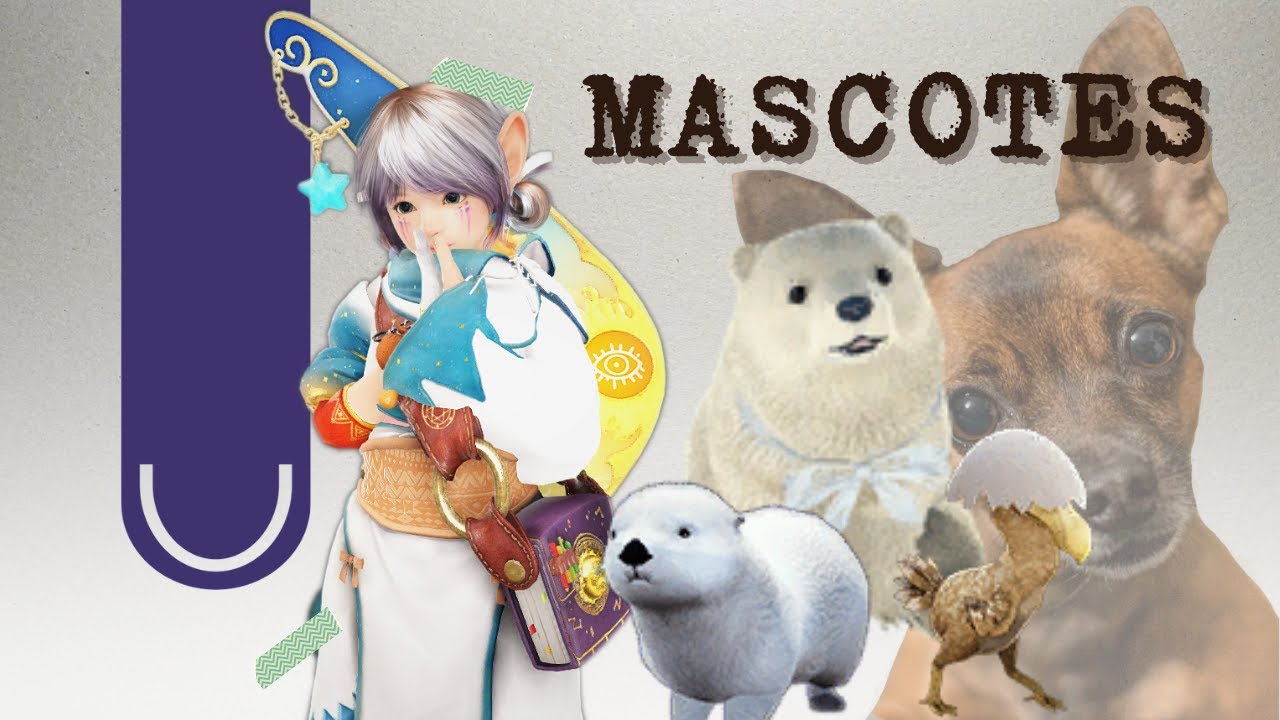 Mascotes | PETs [BDO Tutorial]