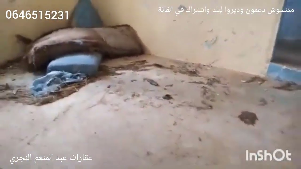 هوتة غزالة دار بلدية قديمة وغرسة المساحة 3000ميتر مفججة ومطلة على الطبيعة الخلابة 0646515231 نواحي ا