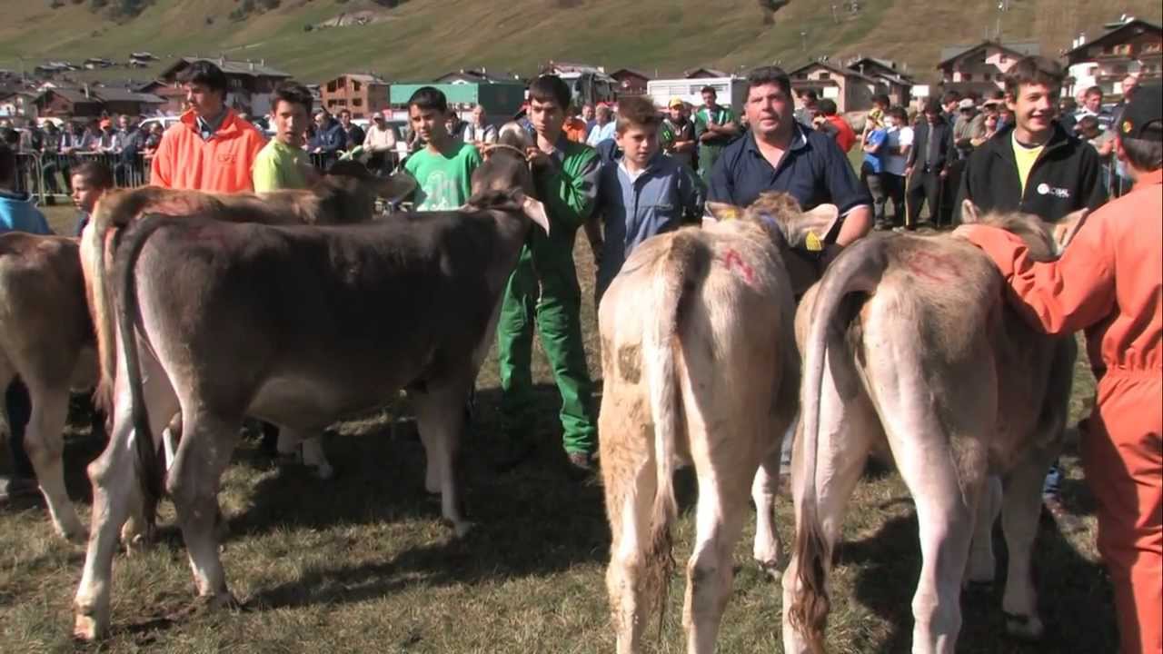 46° Mostra Zootecnica a Livigno