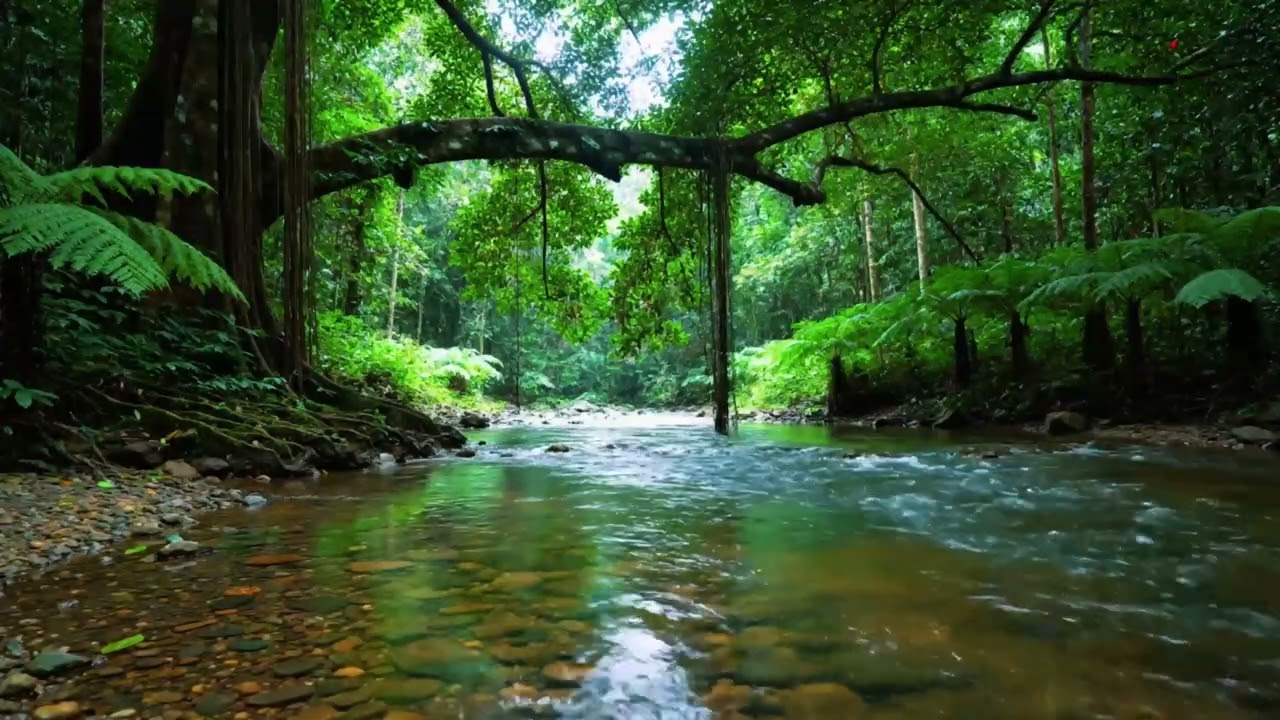 Deep Sleep in Minutes | Hidden Forest River & Birds Chirping (10 Hour Nature Sounds for Insomnia)