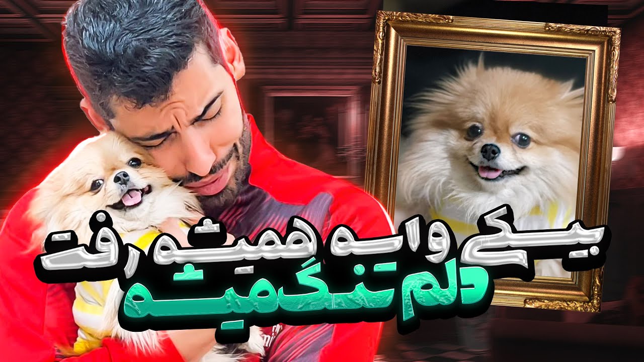 بیسکی واسه همیشه رفت😭دلم تنگ میشه‌🖤
