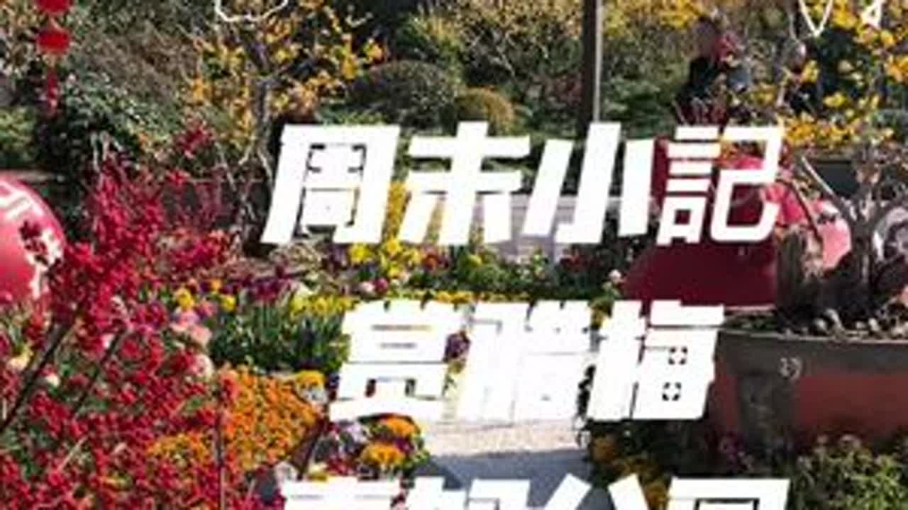 休息了，来真如公园里溜达溜达，公园里大部分的腊梅花已到了盛花期了，又香又美，而且里面的小花坛的布置也很美，值得推荐。😁😁😁视频拍摄于2026年2月3日。#真如公园 #真如公园看腊梅花 #真...