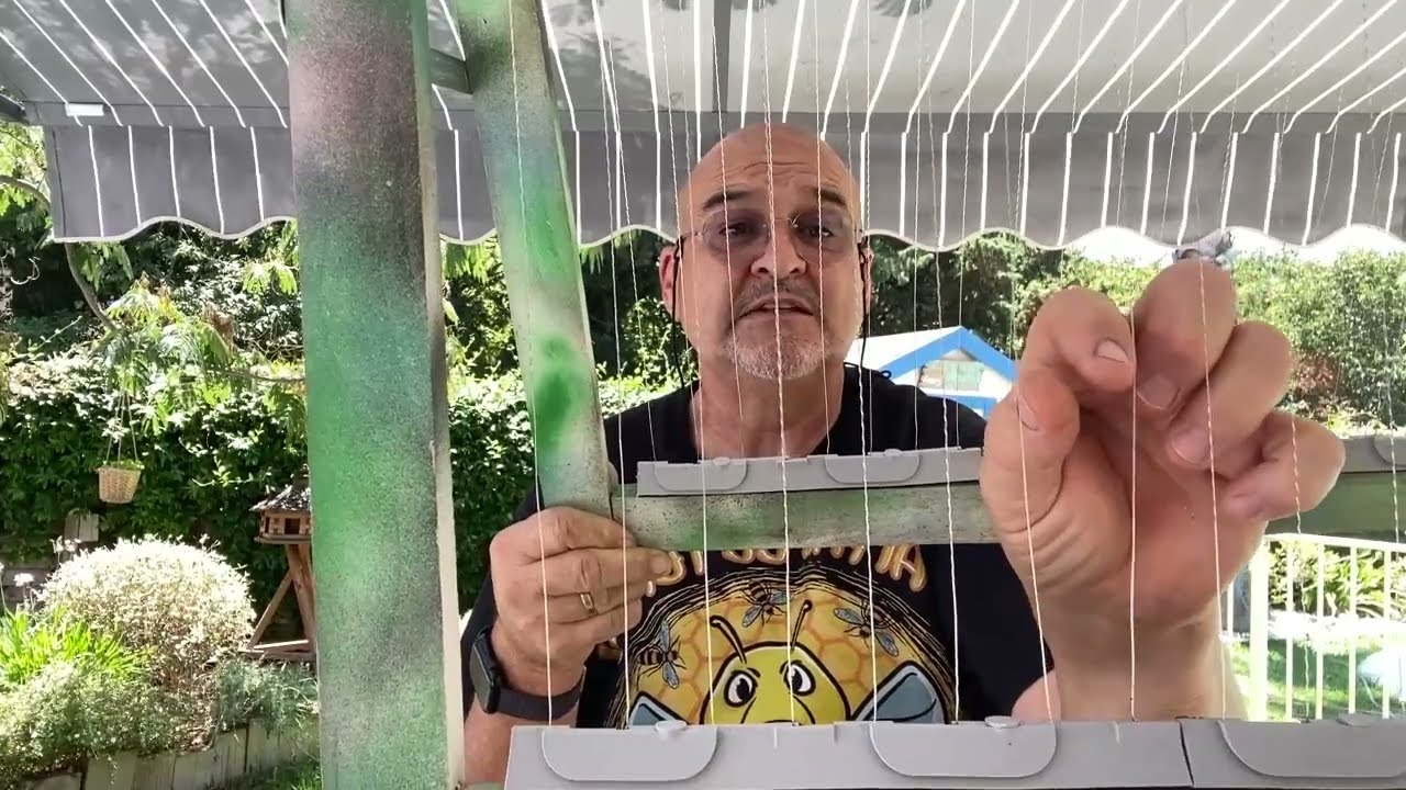 video3